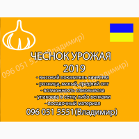 НЕ ПОСРЕДНИК|Чеснок урожай-2019|На посадку|Для продажи|Для переработки. БЕЗ ПРЕДОПЛАТ