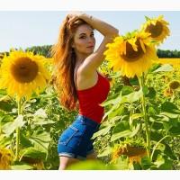 Олія соняшникова. Купуємо 39825