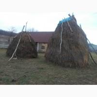 Продам сіно 2019