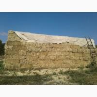 Продам сено суданки