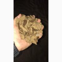 Продам рапсовый жмых