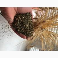 Отличная домашняя махорочка 2024 Киевская обл