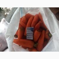 Продам миту моркву