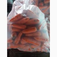 Продам миту моркву