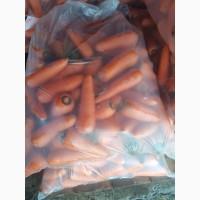 Продам миту моркву