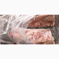 Продам ошийок За запитом