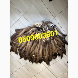 Вичинена куниця лісова/вичинка заводська