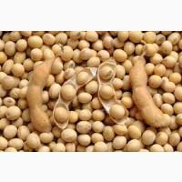 Агрокомпанія закупає СОЮ без ГМО та ГМО по всій Україні