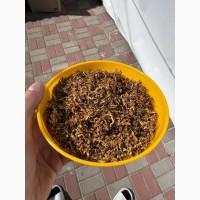 Наявність табаку.Самий чистий та духмяний тільки в нас