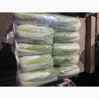 Продам пекінську капусту