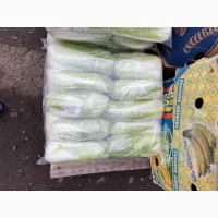 Продам пекінську капусту