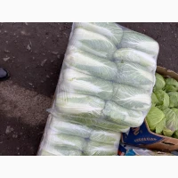 Продам пекінську капусту