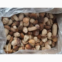 Продам заморожені білі гриби (Пікало) - маленький калібр, оптом 1 сорт