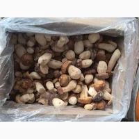 Продам заморожені білі гриби (Пікало) - маленький калібр, оптом 1 сорт