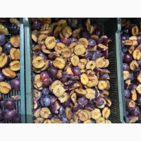 Продам заморожену сливу половинка/ціла
