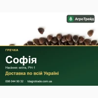 Нвсіння гре4ки С0фія: елітв, РН-1, д0ств8кв п0 Укрвїні