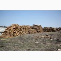 Продамм топливные пеллеты от производителя с 100 тонн