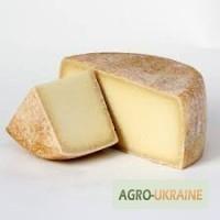 Продаємо сири різних сортів