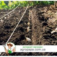 Продам воздушку, однозубку и посадочный чеснок + Технология выращивания(в подарок)