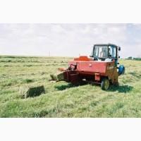 Продам сено люцерны