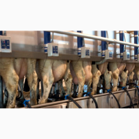 Обладнання DeLaval для молочно-товарних ферм ТОВ МОЛПАРТНЕР