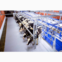Обладнання DeLaval для молочно-товарних ферм ТОВ МОЛПАРТНЕР