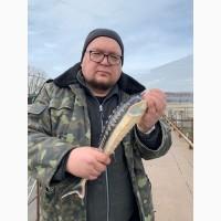 Продаж зарибок товарний Осетр