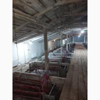 Продам готовый бизнес свино-комплекс (полный цикл производства)