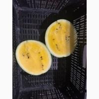 Продам кавун
