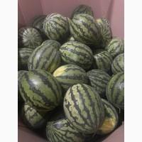 Продам кавун