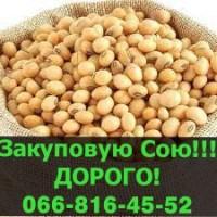 Купую СОЮ!Дорого!На постійній основі! Докомплектування партії контракту
