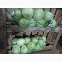 Продам капусту