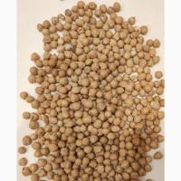 Продам нут (Cicer arietinum, турецький горох) - 4.5т