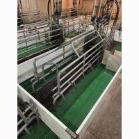 Обладнання для свинарства