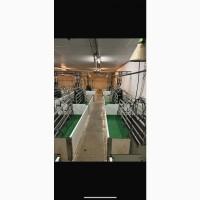 Обладнання для свинарства