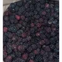 Продам ожину морожену