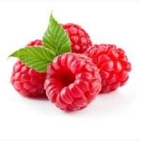 Куплю малину оптом на заморозку