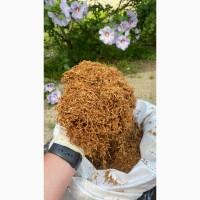 Тютюн, гільзи, машинки, портсигар. ОПТ та роздріб