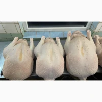 Продам тушки домашньої індички