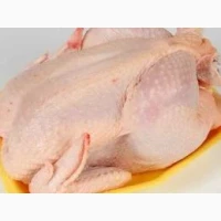 Продам мясо курчат