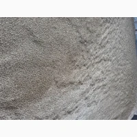 Продам ячмінь