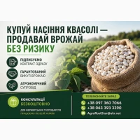 Насіння квасолі білої з гарантією викупу врожаю