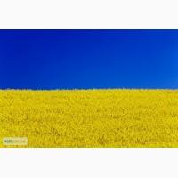 Султвн 500 к.с
