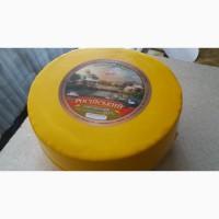 Продам сир оптом від виробника