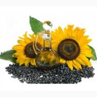 ФАЛЬКОН подсолнечник