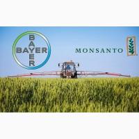 Семена сои Apollo, устойчивая к глифосату