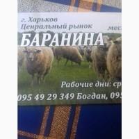 Продам мясо БАРАНИНЫ
