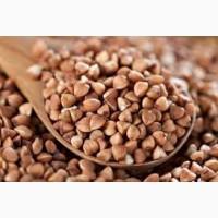 Продам сімена гречки