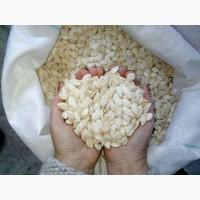 Куплю грецкий орех и тыквенные семечки