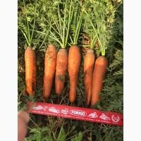 Продам морковь оптом, продам морковь оптом Харьков, продам морковь со склада